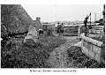 09 BREHAT_ALBUM_Brehat_jardin_neuf_texte